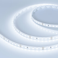 Светодиодная лента RT-А120-8mm 24V Cool 8К (14.4 W/m, IP20, 2835, 5m) (Arlight, Открытый) 016888(2)
