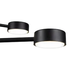 Потолочный светильник Freya FR5363CL-06B (Черный)