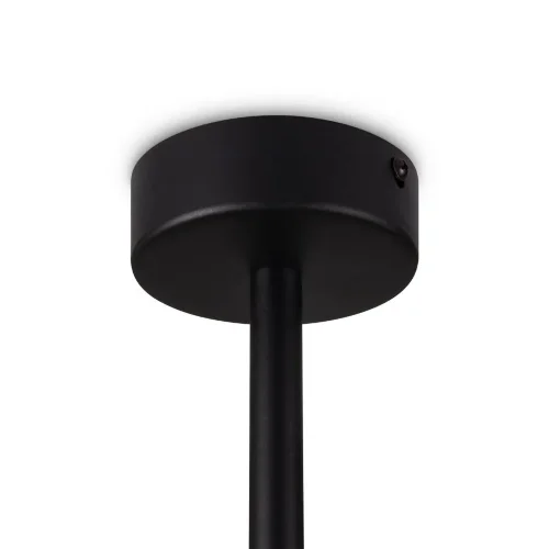 Потолочный светильник Freya FR5363CL-06B (Черный) - фото 6