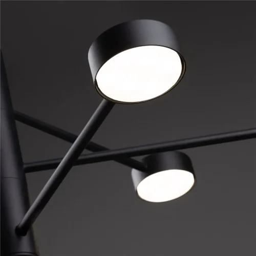 Потолочный светильник Freya FR5363CL-06B (Черный) - фото 9