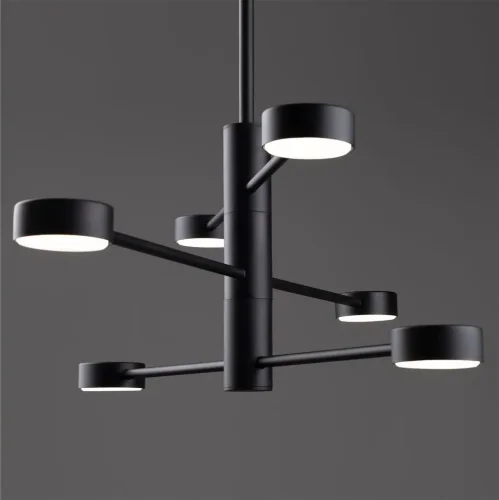 Потолочный светильник Freya FR5363CL-06B (Черный) - фото 10