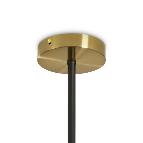 Подвесной светильник Freya FR5432PL-06BBS (Черный и Латунь) - фото 9