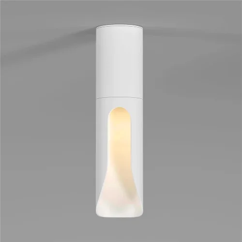 Переключатель/выключатель одноклавишный Vintage белый матовый/хром W5812050 - фото 2