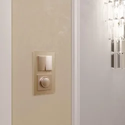 Выключатель двухклавишный проходной (шампань) W1122011