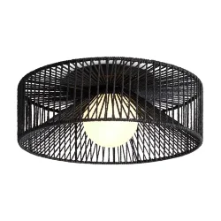 Потолочный светильник Freya FR5405CL-01B (Черный)