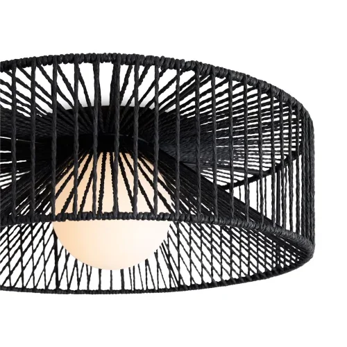 Потолочный светильник Freya FR5405CL-01B (Черный) - фото 3