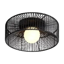 Потолочный светильник Freya FR5405CL-01B (Черный)