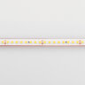 Светодиодная лента RTW 2-5000PS 24V Warm2700 2x (2835, 160 LED/m, LUX) (Arlight, 12 Вт/м, IP67) - фото 5