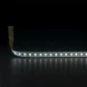 Светодиодная лента 24 В 9,6 Вт/м 120 Led/м 2835 IP20, холодный белый 6500K, 5 м Лента светодиодная 24V 9,6W 120Led 2835 IP20 холодный белый, 5м - фото 2