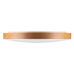 Светодиодный светильник Luminarte CLL2060W-STARWOOD-WH 60Вт с ПДУ