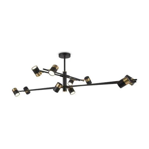 Подвесной светильник Freya FR5201PL-10B (Черный) - фото 2