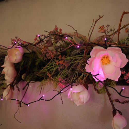 ULD-S1000-100-DGA PINK IP20 Гирлянда светодиодная, 10м, 100 светодиодов, Розовый свет, Провод зеленый - фото 8