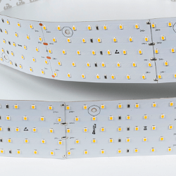 Светодиодная лента 31Вт 24В теплое свечение, DSG2350-24-WW-33 000534