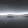 Светодиодная лента Standart class 3528, 120 led/m, White, 24V, IP20, G193 - фото 3.