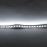 Светодиодная лента Standart class 3528, 120 led/m, White, 24V, IP20, G193 - фото III