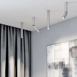 Накладной потолочный светильник 25030/LED 6W 4200K серебро