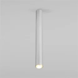 Накладной потолочный светильник с антибликовой решеткой Pika 25030/LED 6W 4200K серебро (061121)