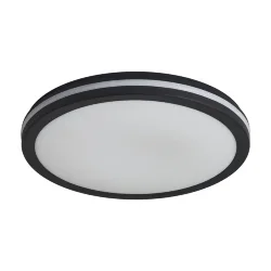 Потолочный светильник FR6160CL-L40B Руа / Rua 40 Вт LED (Черный) FR6160CL-L40B
