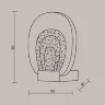 Настенный светильник (бра) Биология / Biology 3000К 3Вт (Латунь) MOD367WL-L3BSK - фото 6