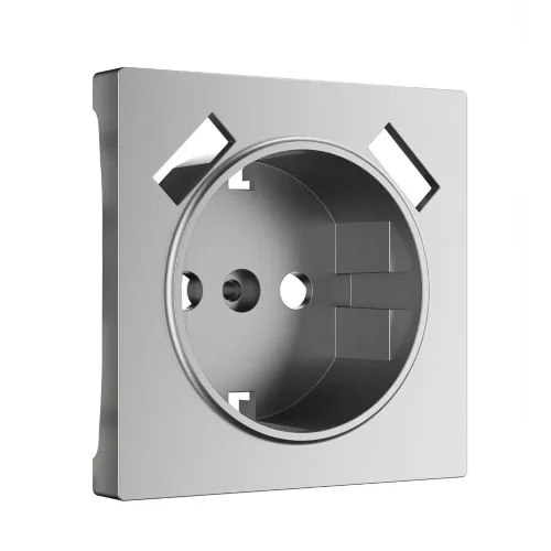 Накладка для розетки USB (серебряный матовый) W1179565 - фото
