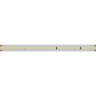 Светодиодная лента IC 2-50000 48V Cool 8К 12mm (2835, 144 LED/m, LUX) (Arlight, 5.8 Вт/м, IP20) 026980 - фото 4