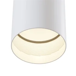 Потолочный светильник Sonas 1x50Вт GU10 (Белый)