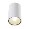 Потолочный светильник Sonas 1x50Вт GU10 (Белый) - фото