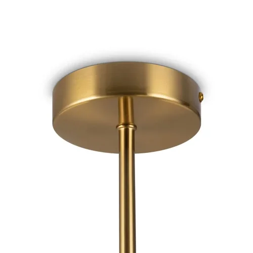 Потолочный светильник Freya FR5394CL-12BS (Латунь) - фото 7