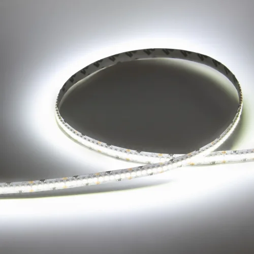 Светодиодная лента Standart PRO class, 3528, 240 led/m, White, 24V, IP20, D30 - фото II
