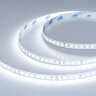 Светодиодная лента ULTRA-C112-10mm 24V White6000 (19.2 W/m, IP20, 5630, 5m) (Arlight, высок.эфф.160 лм/Вт) - фото 1