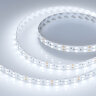 Светодиодная лента RT 2-5000 24V White6000 2x2 (5060, 600 LED, LUX) (Arlight, 28.8 Вт/м, IP20) 011256(1) - фото