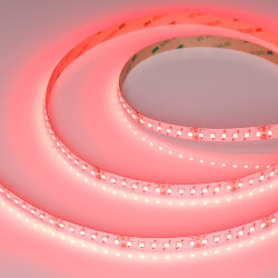 Светодиодная лента RT-AM360-12mm 24V RGBW-MIX (24 W/m, IP20, 2835/2210, 5m) (Arlight)