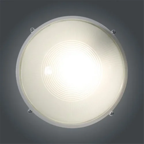 Светильник 'Банник' 1101 НПП 03-100-009 1х100Вт E27 IP65 круг большой корпус бел. Элетех 1005500930 - фото 4