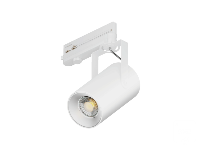 Cветильник Focus CLIP Lens TR4 (RAL9003/D85/160mm — 4K/30W/15deg) - фото 1