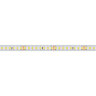 Светодиодная лента герметичная RTW-PS-А160-10mm 24V Warm3000 (12 W/m, IP67, 2835, 50m) (Arlight, 12 Вт/м, IP67) 024559(2) - фото 2