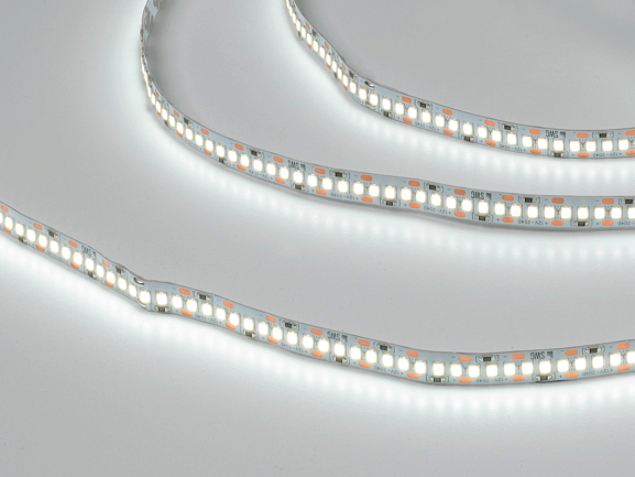 Светодиодная лента  2835, 204 LED/м, 22 Вт/м, 12В , IP20, Цвет: Холодный белый, SWG2204-12-22-W-М - фото