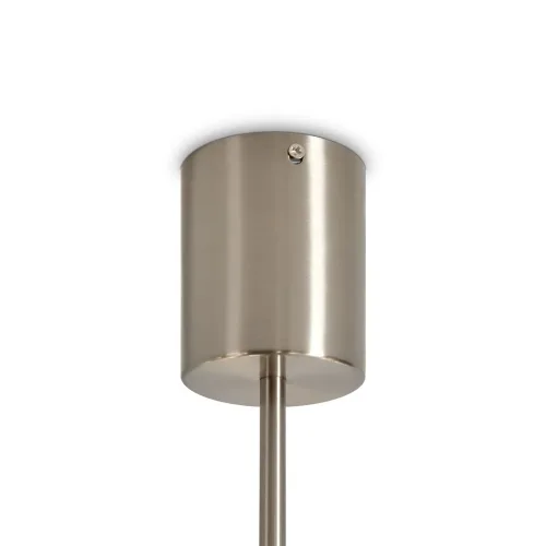 Потолочный светильник Алиас / Alias (Никель) FR2050CL-L36N - фото 10