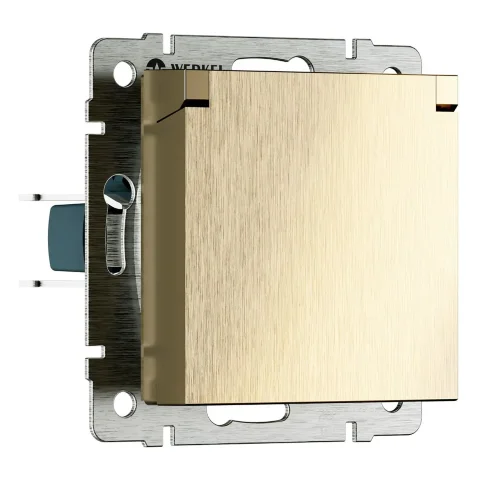 Розетка влагозащ. с зазем. с защит. крышкой и шторками N (шампань рифленый) W1171210 - фото