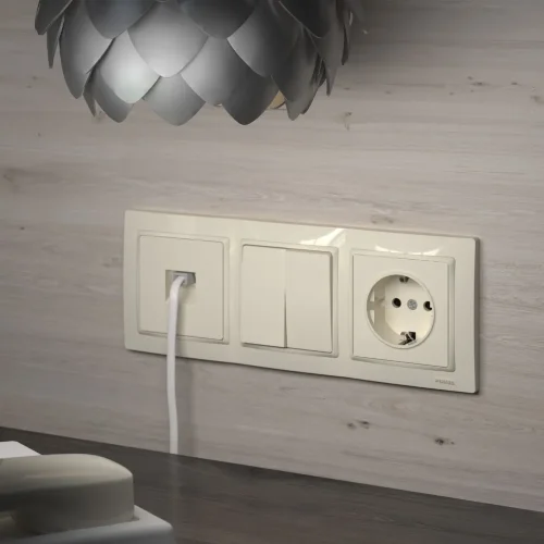 Выключатель двухклавишный (слоновая кость) W1120003 - фото 4