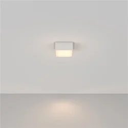 Потолочный светильник Zon 3000K 1x12Вт 120° (Белый)