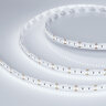 Светодиодная лента MICROLED-M300-8mm 24V White6000 (8 W/m, IP20, 2216, 5m) (Arlight, Открытый) 023556(2) - фото
