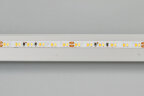 Светодиодная лента MICROLED-М240-4.5mm 24V White-CDW (9.6 W/m, IP20, 2216, 5m) (Arlight, узкая) 024506(2) - фото 2