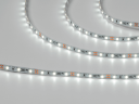 Светодиодная лента  2835, 60 LED/м, 6,3 Вт/м, 12В , IP20, Цвет: Холодный белый, SWG260-12-6.3-W-M - фото
