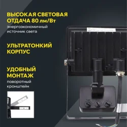 Прожектор светодиодный СДО 06-30Д 6500К IP54 с ДД черн. IEK LPDO602-30-65-K02