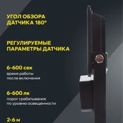 Прожектор светодиодный СДО 06-30Д 6500К IP54 с ДД черн. IEK LPDO602-30-65-K02