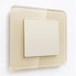 Выключатель одноклавишный (айвори матовый) W1110062