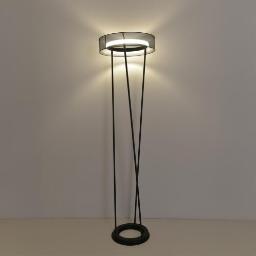 Торшер «LUMION» 8370/30FL, серия: ALVA (переносной). Фото 2.