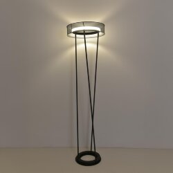 Торшер «LUMION» 8370/30FL, серия: ALVA (переносной) - -