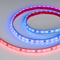 Светодиодная лента герметичная DMX-PS-В60-12mm 12V RGB-РХ3 (14 W/m, IP67, 5060, 5m) (Arlight) 039605