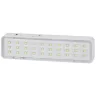 Светильник светодиодный DBA-101-0-20 30LED 5ч IP20 аварийный непостоянный Эра Б0044394 - фото